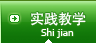 实践教学